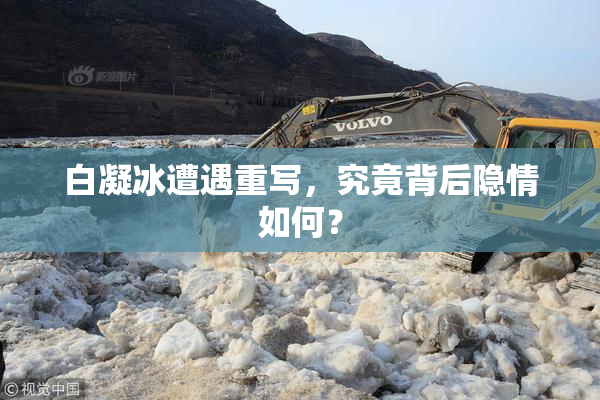 白凝冰遭遇重写，究竟背后隐情如何？