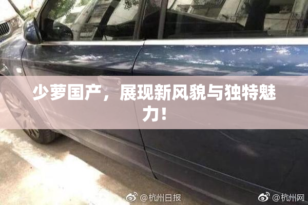 少萝国产，展现新风貌与独特魅力！