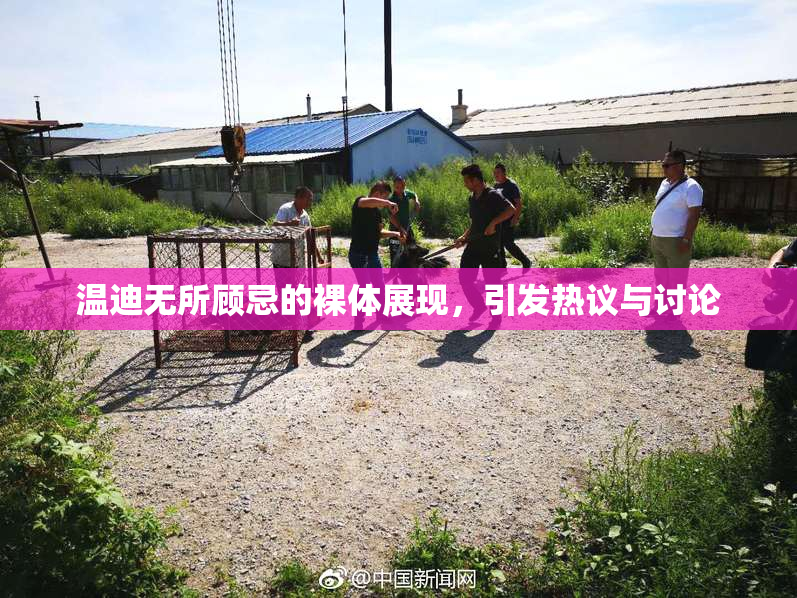 温迪无所顾忌的裸体展现，引发热议与讨论