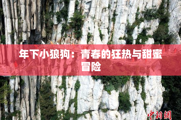 年下小狼狗：青春的狂热与甜蜜冒险