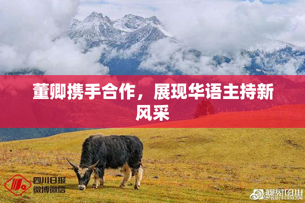 董卿携手合作，展现华语主持新风采