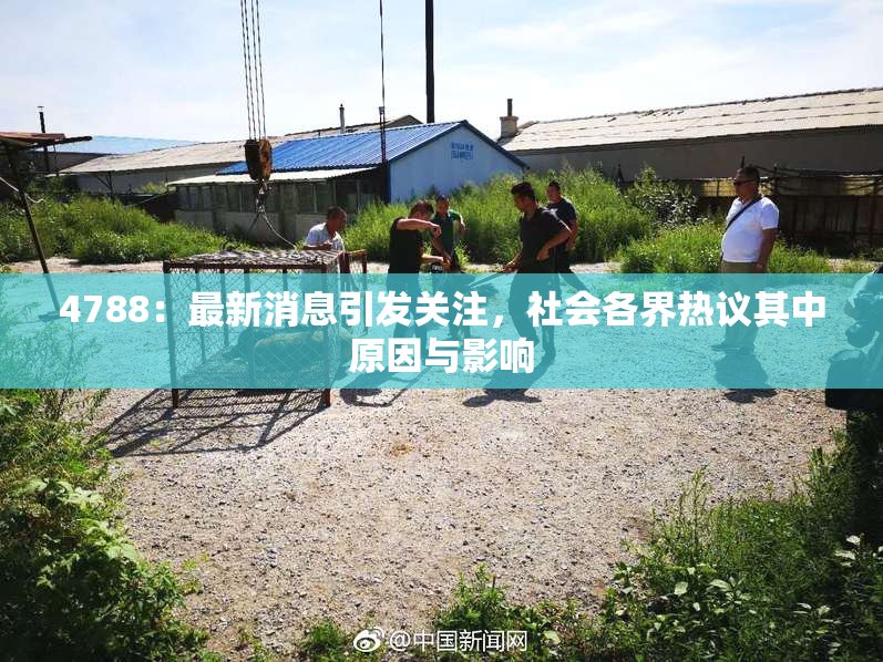 4788：最新消息引发关注，社会各界热议其中原因与影响