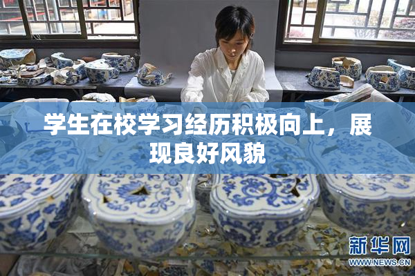 学生在校学习经历积极向上，展现良好风貌