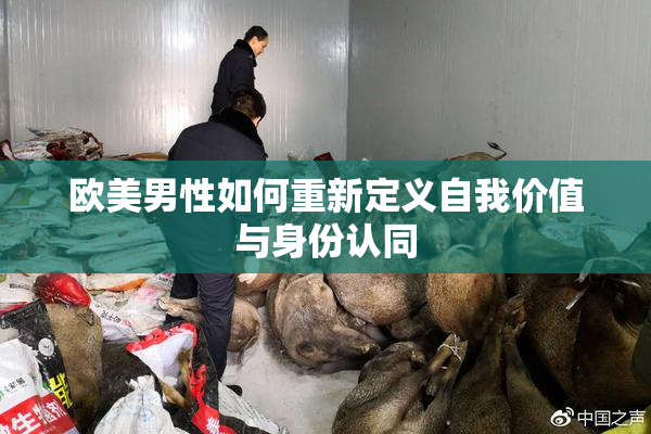 欧美男性如何重新定义自我价值与身份认同