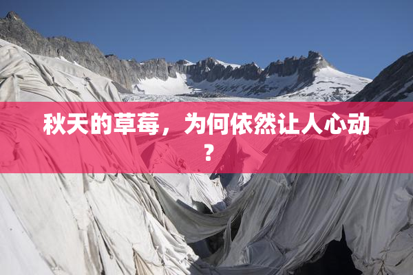 秋天的草莓，为何依然让人心动？