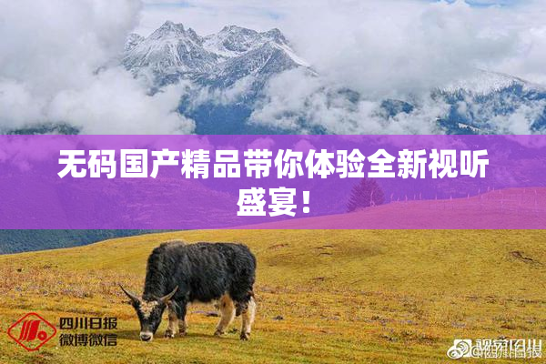无码国产精品带你体验全新视听盛宴！