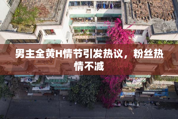 男主全黄H情节引发热议，粉丝热情不减