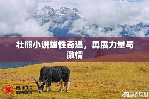 壮熊小说雄性奇遇，勇展力量与激情