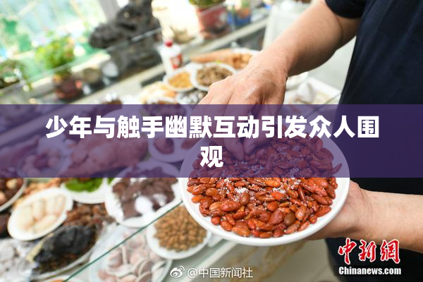 少年与触手幽默互动引发众人围观