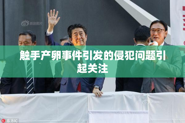 触手产卵事件引发的侵犯问题引起关注