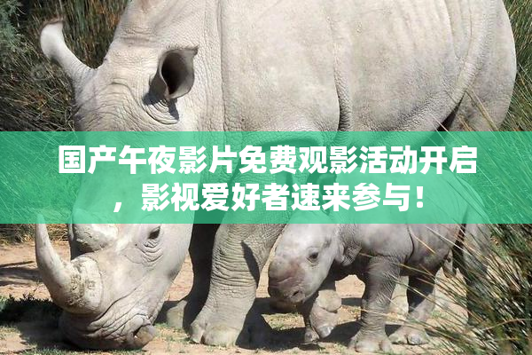 国产午夜影片免费观影活动开启，影视爱好者速来参与！