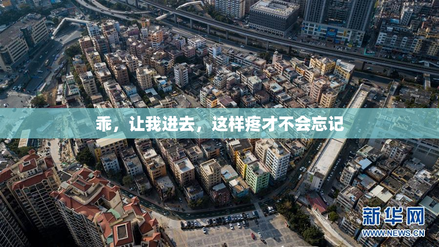乖，让我进去，这样疼才不会忘记