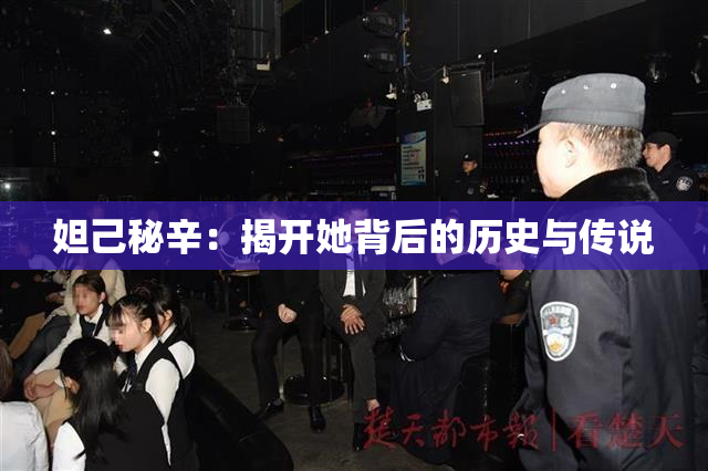 妲己秘辛：揭开她背后的历史与传说