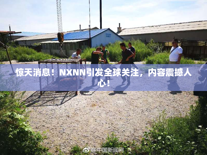 惊天消息！NXNN引发全球关注，内容震撼人心！