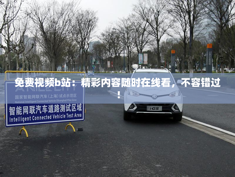 免费视频b站：精彩内容随时在线看，不容错过！
