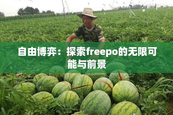 自由博弈：探索freepo的无限可能与前景