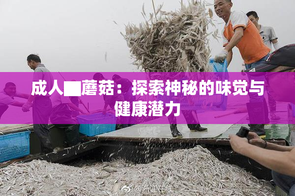 成人▇蘑菇：探索神秘的味觉与健康潜力