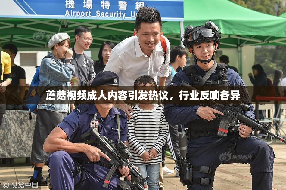 蘑菇视频成人内容引发热议，行业反响各异