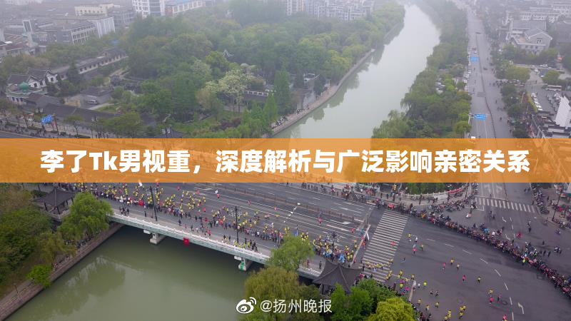 李了Tk男视重，深度解析与广泛影响亲密关系
