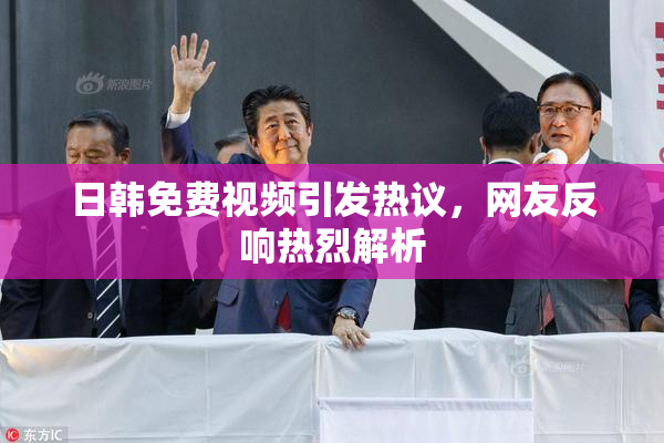 日韩免费视频引发热议，网友反响热烈解析