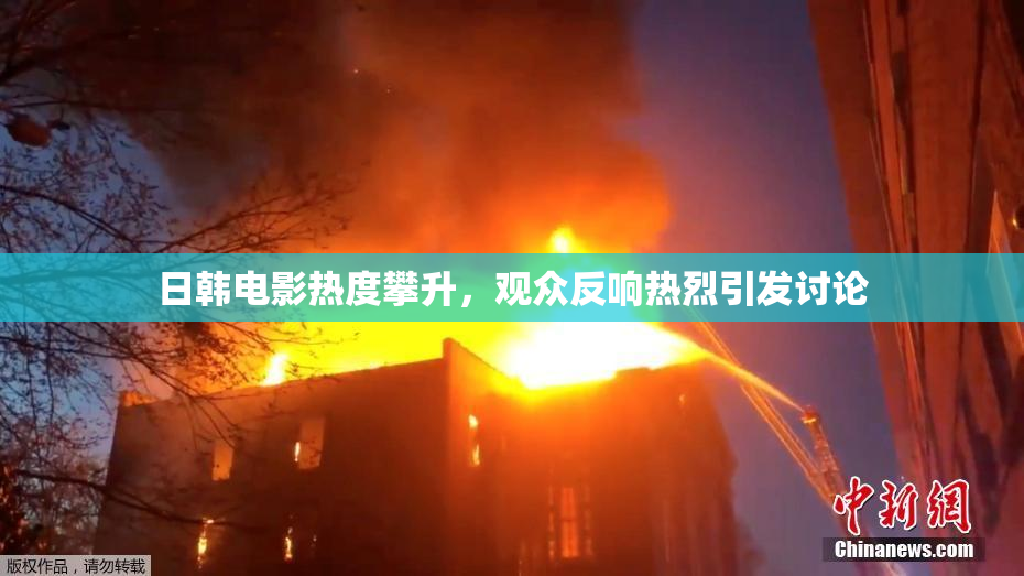日韩电影热度攀升，观众反响热烈引发讨论