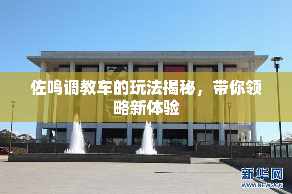佐鸣调教车的玩法揭秘，带你领略新体验