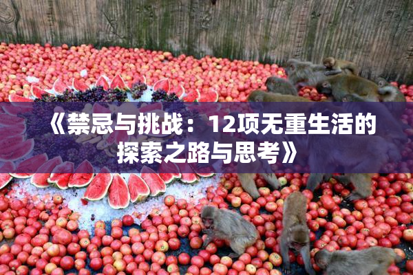 《禁忌与挑战：12项无重生活的探索之路与思考》