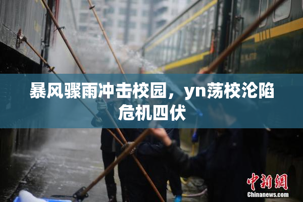 暴风骤雨冲击校园，yn荡校沦陷危机四伏
