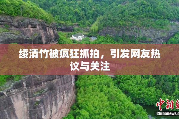 绫清竹被疯狂抓拍，引发网友热议与关注