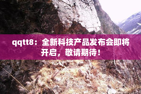 qqtt8：全新科技产品发布会即将开启，敬请期待！