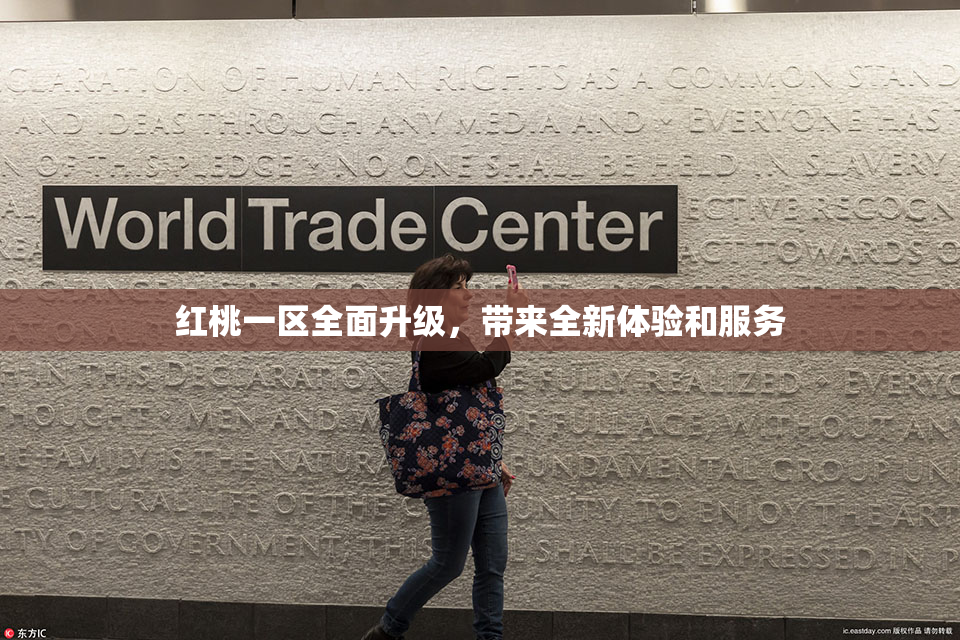 红桃一区全面升级，带来全新体验和服务