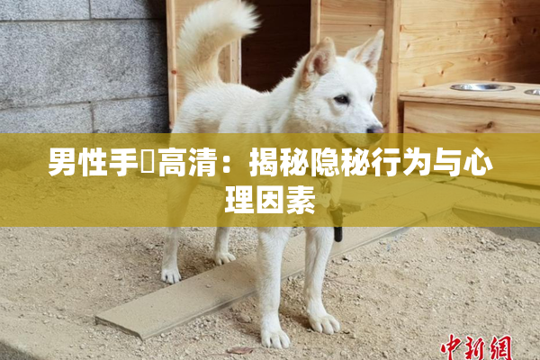 男性手婬高清：揭秘隐秘行为与心理因素
