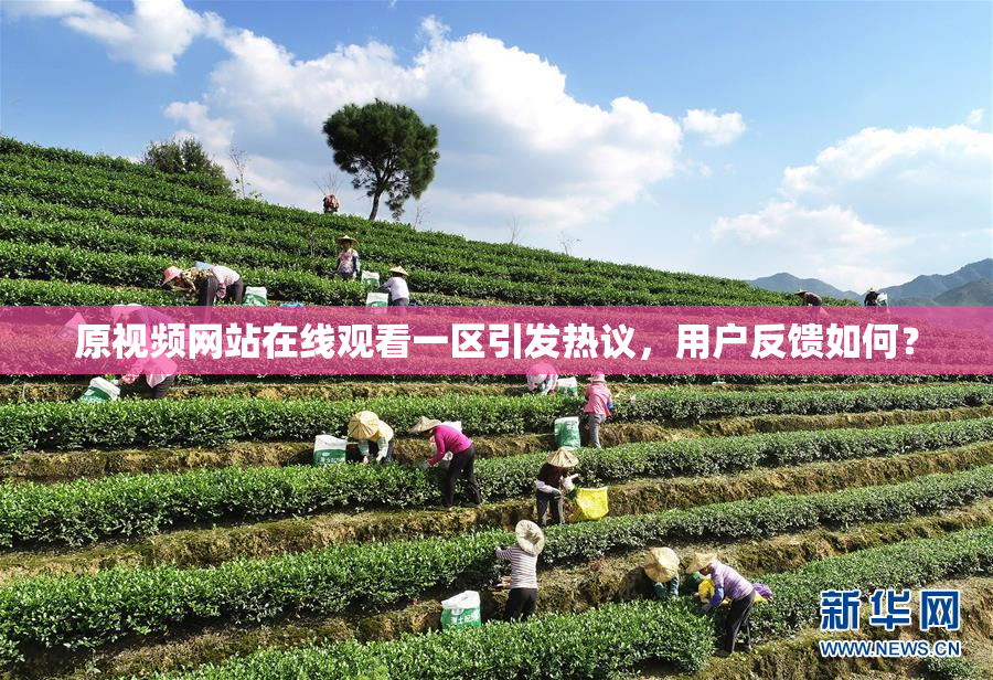 原视频网站在线观看一区引发热议，用户反馈如何？
