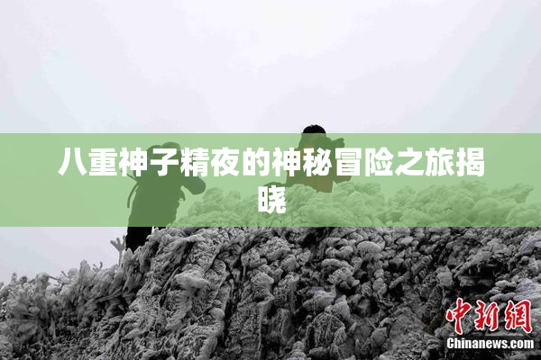 八重神子精夜的神秘冒险之旅揭晓