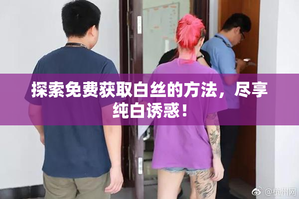 探索免费获取白丝的方法，尽享纯白诱惑！