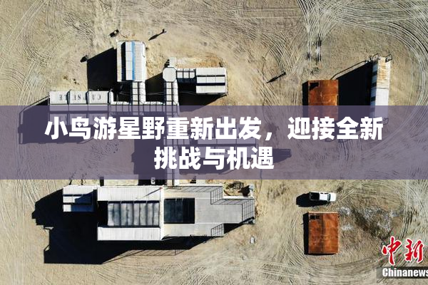 小鸟游星野重新出发，迎接全新挑战与机遇