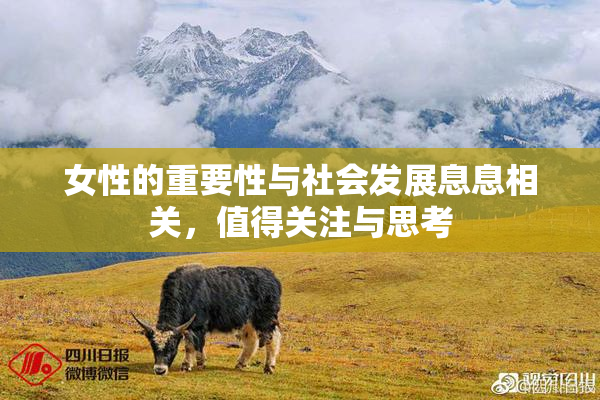 女性的重要性与社会发展息息相关，值得关注与思考