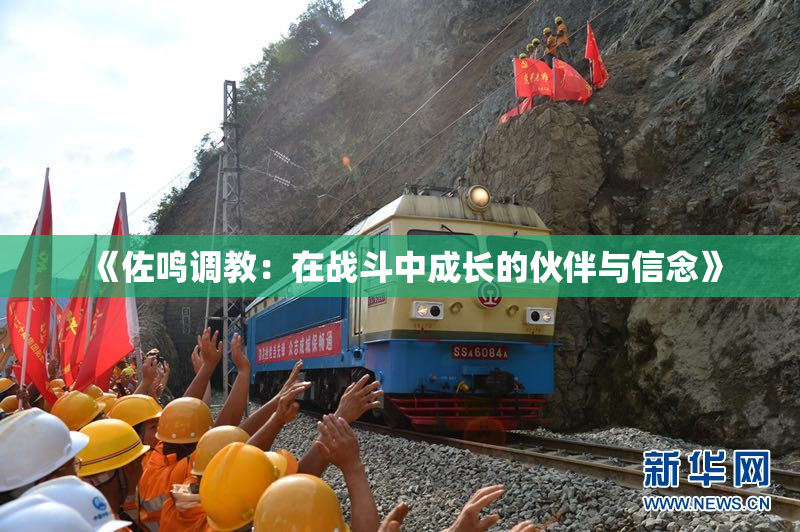 《佐鸣调教：在战斗中成长的伙伴与信念》