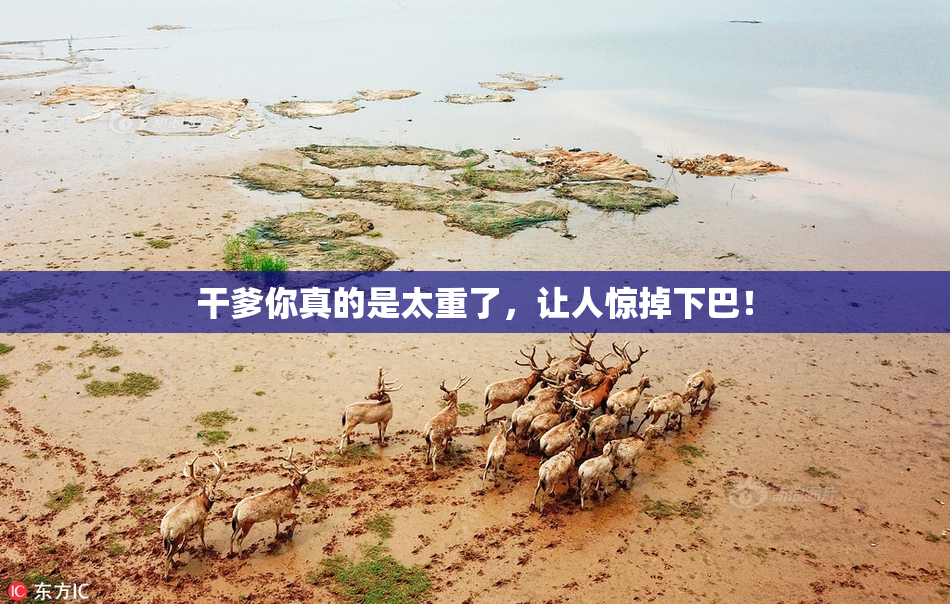 干爹你真的是太重了，让人惊掉下巴！