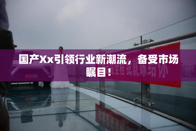国产Xx引领行业新潮流，备受市场瞩目！