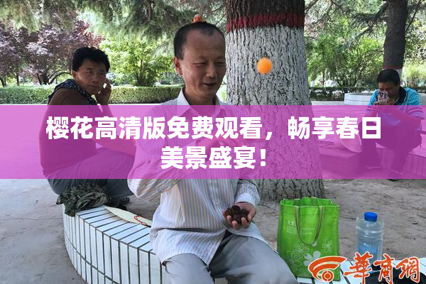 樱花高清版免费观看，畅享春日美景盛宴！