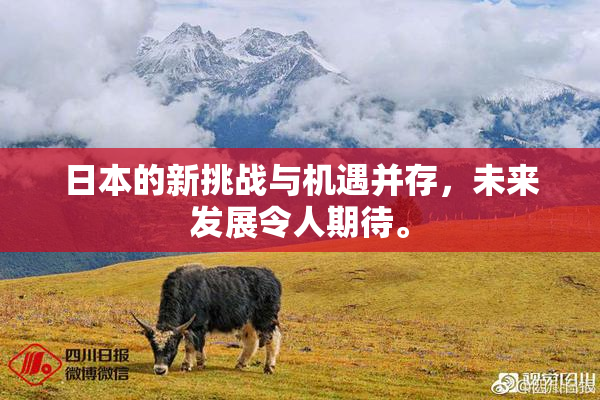 日本的新挑战与机遇并存，未来发展令人期待。