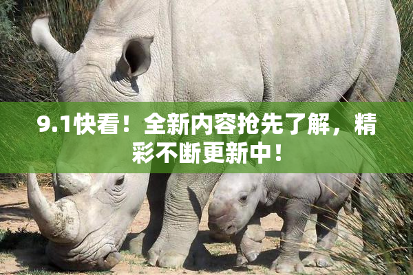 9.1快看！全新内容抢先了解，精彩不断更新中！