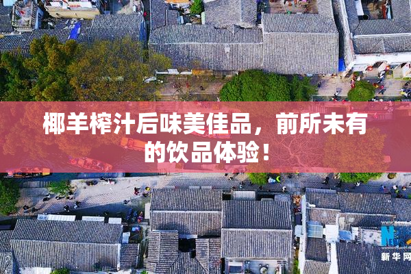 椰羊榨汁后味美佳品，前所未有的饮品体验！