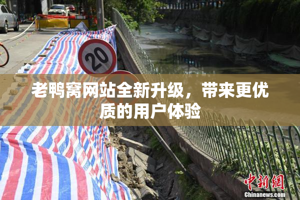 老鸭窝网站全新升级，带来更优质的用户体验