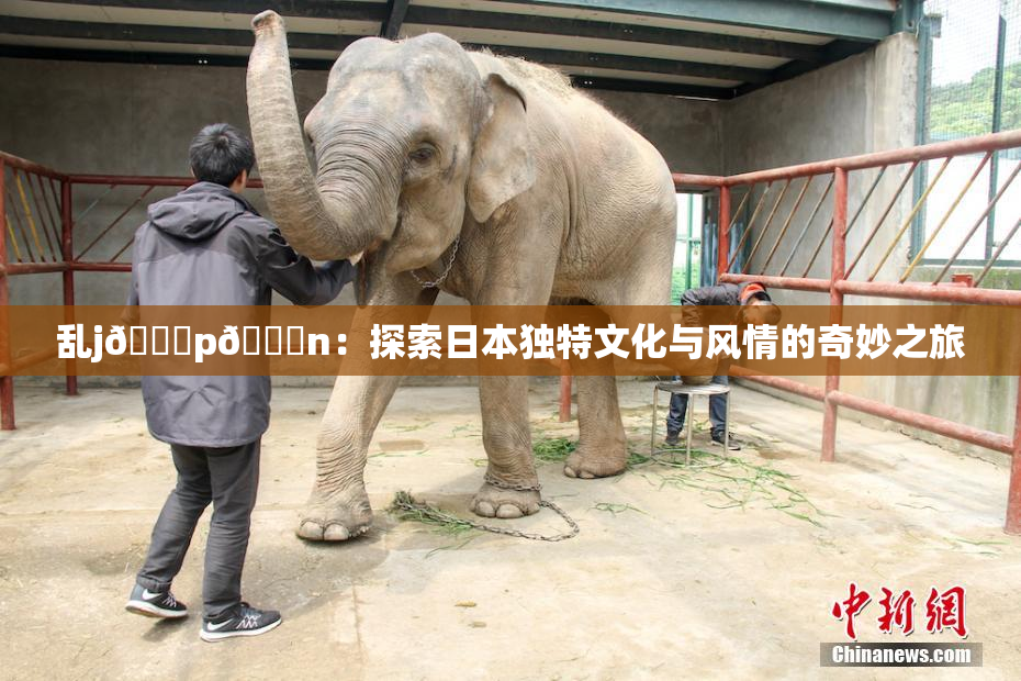 乱j🈚p🈚n：探索日本独特文化与风情的奇妙之旅