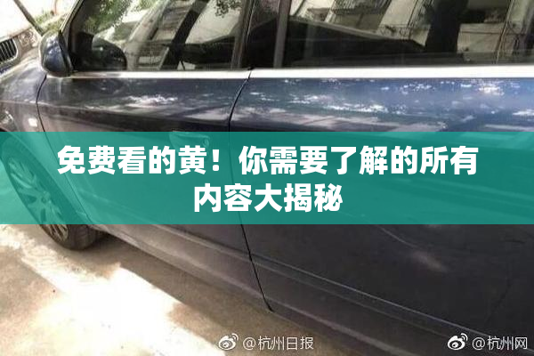 免费看的黄！你需要了解的所有内容大揭秘