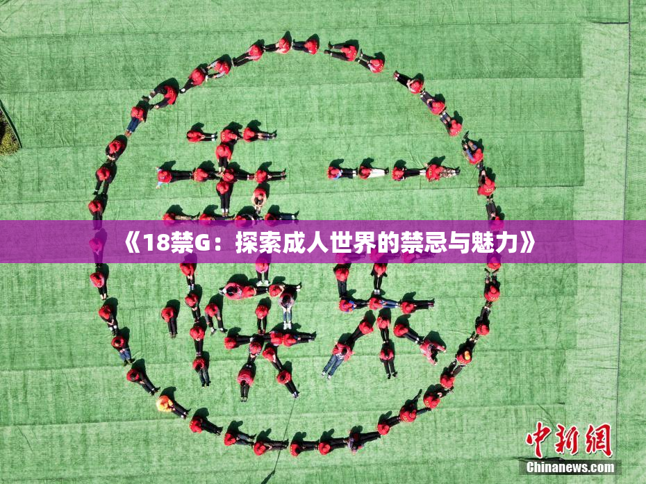 《18禁G：探索成人世界的禁忌与魅力》