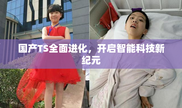国产TS全面进化，开启智能科技新纪元