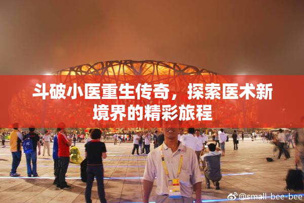 斗破小医重生传奇，探索医术新境界的精彩旅程